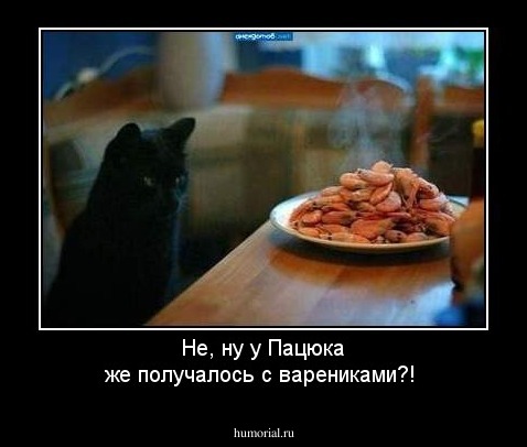 Не, ну у Пацюка же получалось с варениками?!