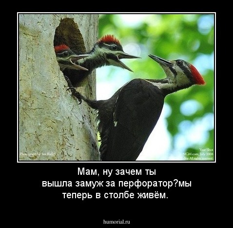 Мам, ну зачем ты вышла замуж за перфоратор?мы теперь в столбе живём.