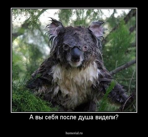 А вы себя после душа видели?