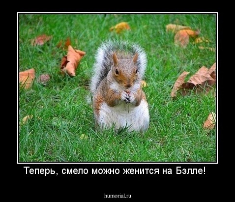 Теперь, смело можно женится на Бэлле!  