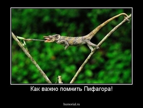 Как важно помнить Пифагора!
