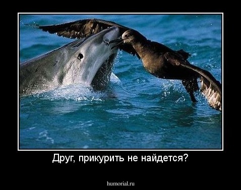 Друг, прикурить не найдется?