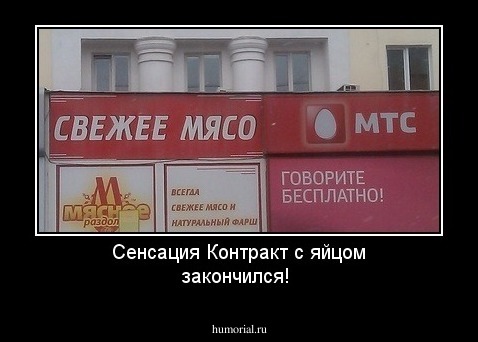 Сенсация







Контракт с яйцом закончился!





