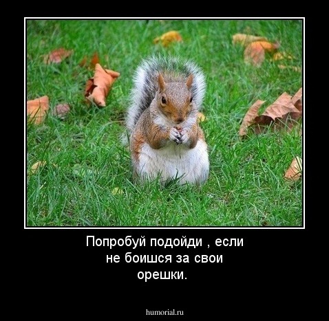 Попробуй подойди , если не боишся за свои орешки.