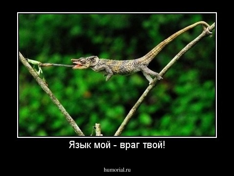 Язык мой - враг твой!