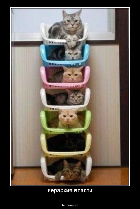 иерархия власти