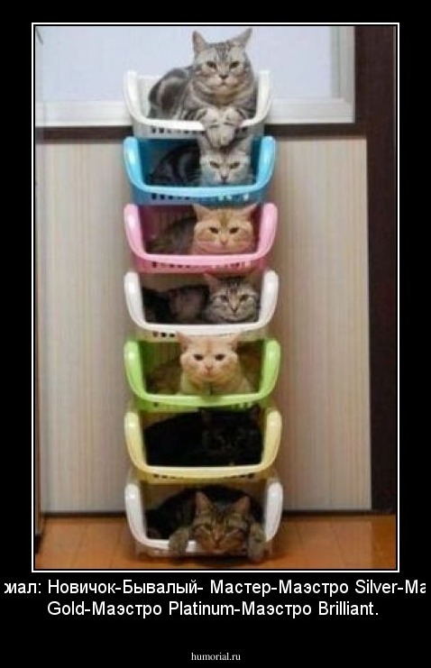 Хумориал: Новичок-Бывалый- Мастер-Маэстро Silver-Маэстро Gold-Маэстро Platinum-Маэстро Brilliant.