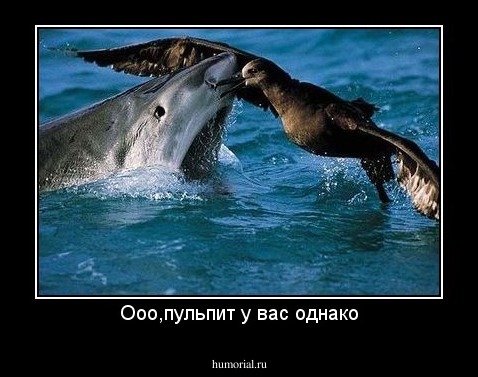 Ооо,пульпит у вас однако