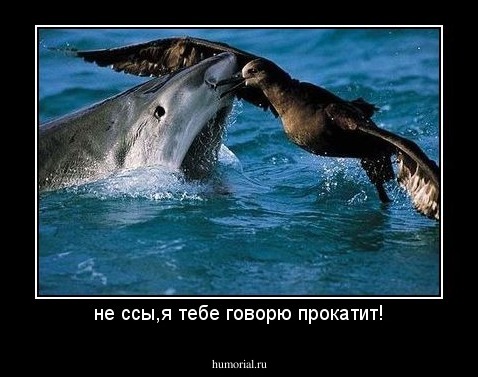 не ссы,я тебе говорю прокатит!