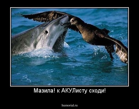 Мазила! к АКУЛисту сходи!