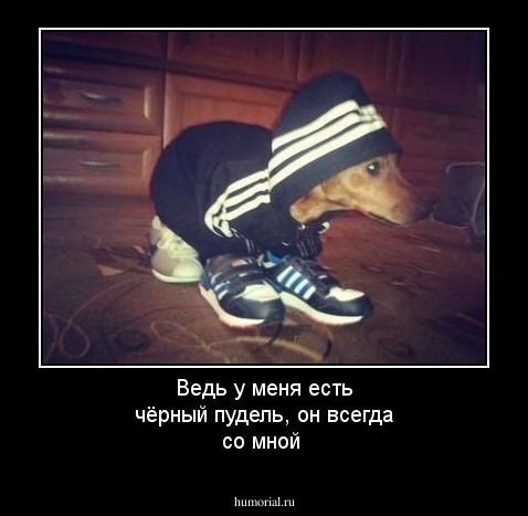 Ведь у меня есть чёрный пудель, он всегда со мной 