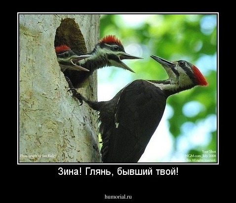Зина! Глянь, бывший твой!