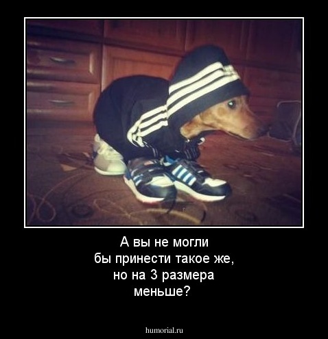 А вы не могли бы принести такое же, но на 3 размера меньше?