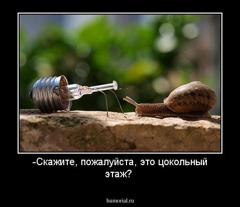 -Скажите, пожалуйста, это цокольный этаж?