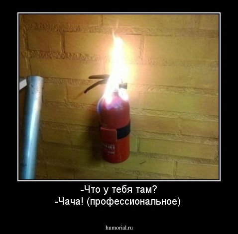 -Что у тебя там? -Чача! (профессиональное)