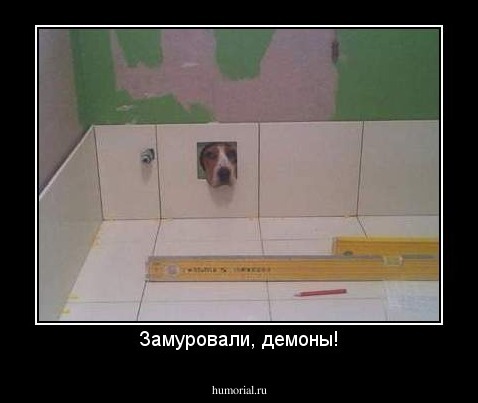 Замуровали, демоны!