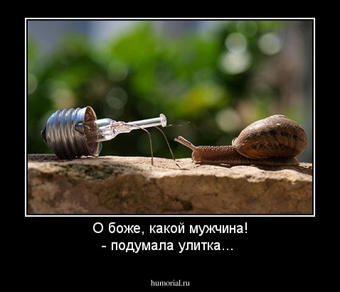 О боже, какой мужчина! - подумала улитка...