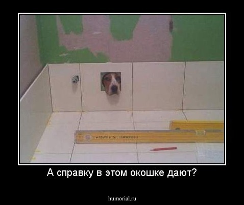 А справку в этом окошке дают?