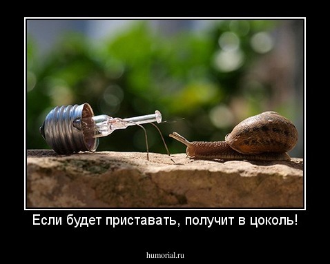 Если будет приставать, получит в цоколь!