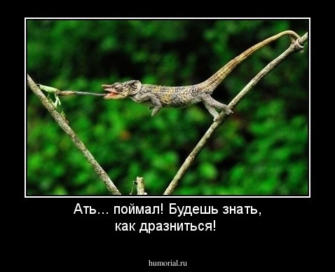 Ать... поймал! Будешь знать, как дразниться!