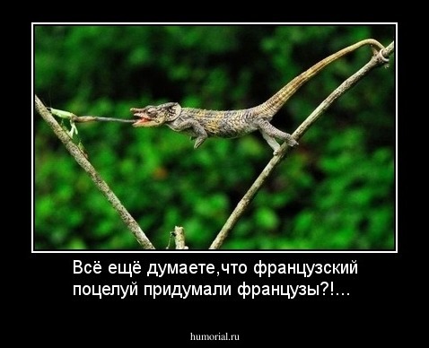 Всё ещё думаете,что французский поцелуй придумали французы?!...
