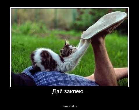 Дай заклею .