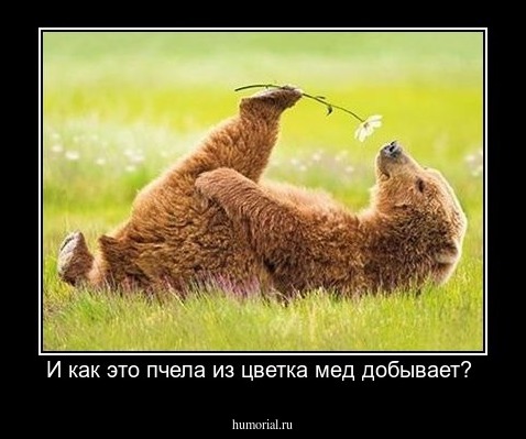 И как это пчела из цветка мед добывает? 