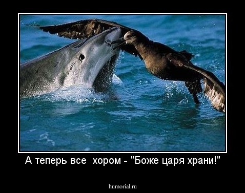 А теперь все  хором - "Боже царя храни!"