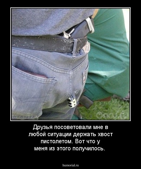 Друзья посоветовали мне в любой ситуации держать хвост пистолетом. Вот что у меня из этого получилось.