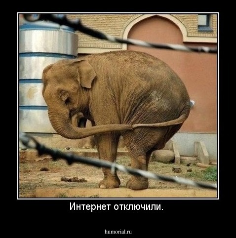 Интернет отключили. 