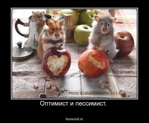 Оптимист и пессимист. 