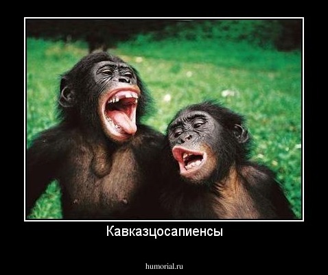 Кавказцосапиенсы