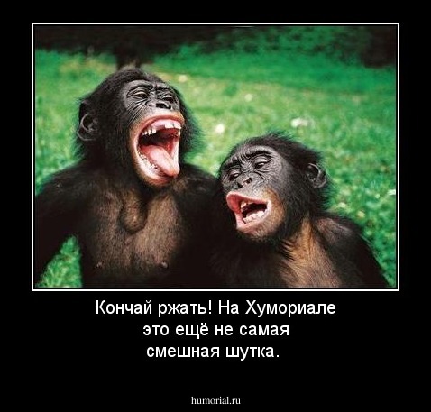 Кончай ржать! На Хумориале это ещё не самая смешная шутка.
