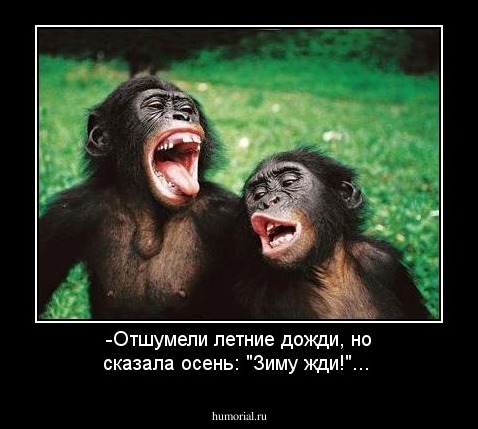 -Отшумели летние дожди, но сказала осень: "Зиму жди!"...