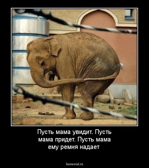 Пусть мама увидит. Пусть мама придет. Пусть мама ему ремня надает