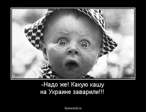 -Надо же! Какую кашу на Украине заварили!!!