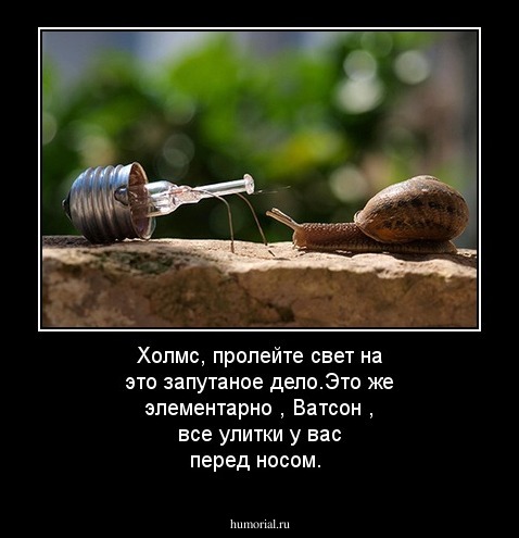 Холмс, пролейте свет на это запутаное дело.Это же элементарно , Ватсон , все улитки у вас перед носом.
