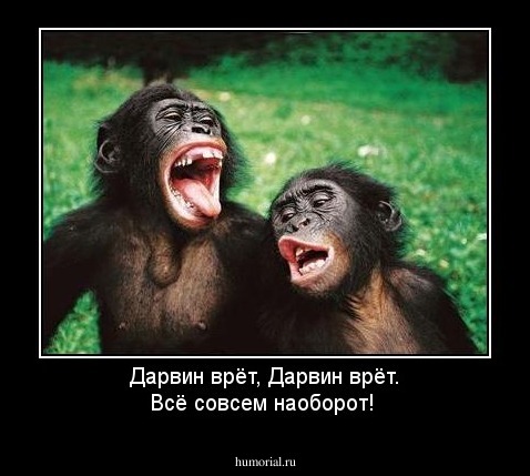 Дарвин врёт, Дарвин врёт. Всё совсем наоборот!