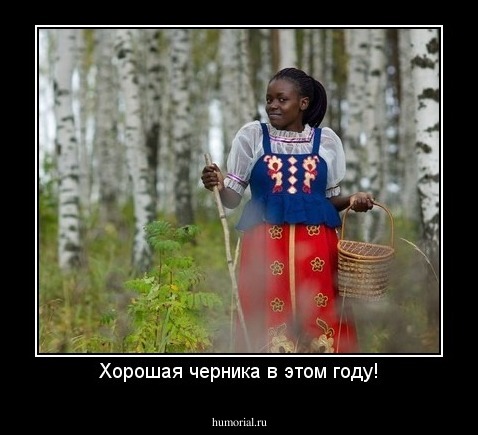 Хорошая черника в этом году!