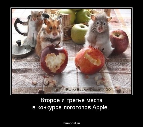 Второе и третье места в конкурсе логотопов Apple.