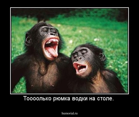 Тоооолько рюмка водки на столе. 