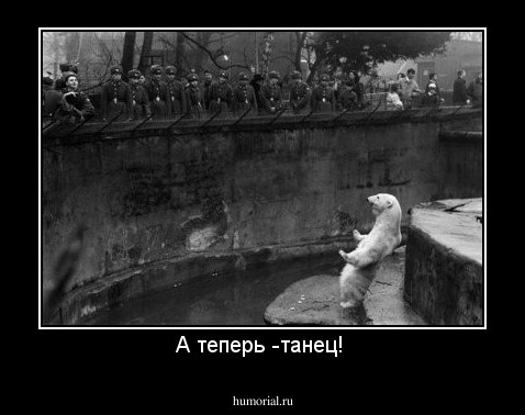 А теперь -танец! 