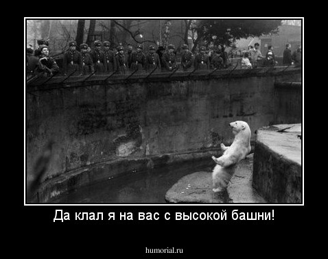 Да клал я на вас с высокой башни!