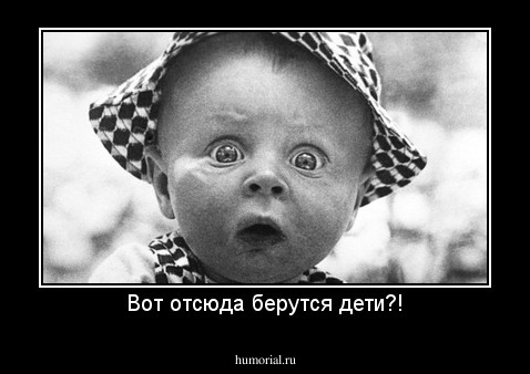 Вот отсюда берутся дети?!