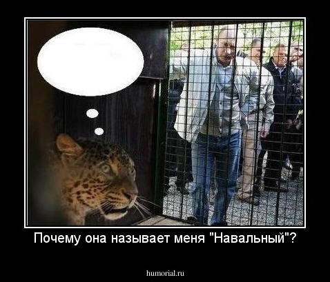 Почему она называет меня "Навальный"?