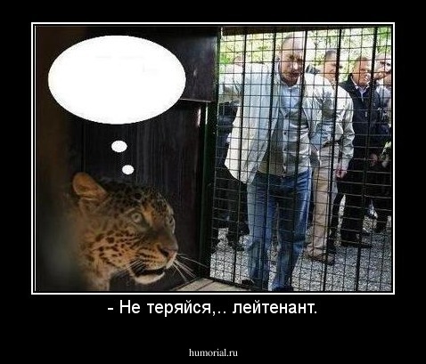 - Не теряйся,.. лейтенант.