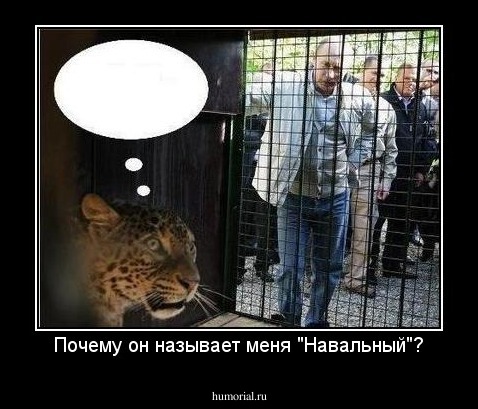 Почему он называет меня "Навальный"?