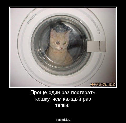 Проще один раз постирать кошку, чем каждый раз тапки.