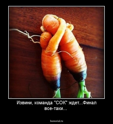Извини, команда "СОК" ждет...Финал все-таки...