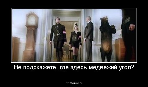 Не подскажете, где здесь медвежий угол?